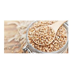 Trigo Sarraceno Descascarado al por Mayor / Grano de Trigo Sarraceno Orgánico / Semilla de Trigo Sarraceno - Product Image 2