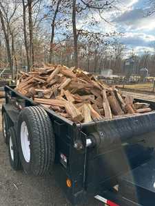 Offre spéciale bois de chauffage de hêtre séché au four, bois de chauffage de chêne, bois de chauffage de pin - Product Image 3