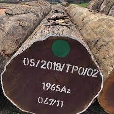 Troncos de madera de Wenge Troncos de Wenge Premium Troncos de Wenge en venta - Product Image 3