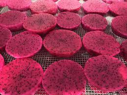 Fruta deshidratada liofilizada: fruta de dragón liofilizada, PITAYA DE ALTA CALIDAD DE FÁBRICA VIETNAM, precio barato, OEM/ODM. - Product Image 5