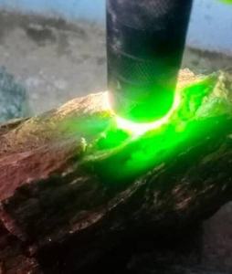 Bloque de Jade Verde Natural en Forma de Rectángulo, Origen KZ - Product Image 5