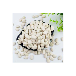 Haricots blancs en vrac à vendre en Europe, en Asie et en Afrique - Product Image 2