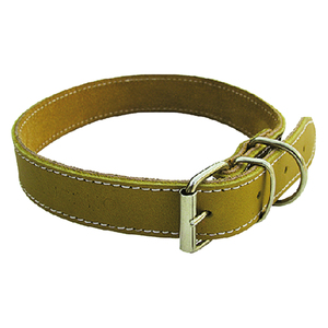 Collare per Cani Larghezza 25 Mm Lunghezza 50 Cm - Product Image 1