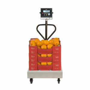 Gram Pro Xtrem Rabbit Bilancia Industriale Mobile - Product Image 2