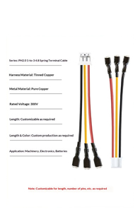 PH2.0 Customized 2-Core Two-Color Parallel PVC Jackets Pure Copper Conductor Cable Harness for Smart Mirror - Product Image 4