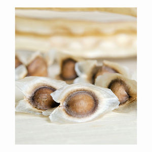 GRAINES DE MORINGA EN GROS DE HAUTE QUALITÉ ET À PRIX CONCURRENTIEL - Product Image 3