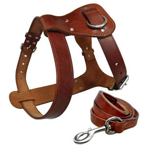 Arnés de diseño personalizado con herrajes resistentes, material transpirable, ajuste cómodo y seguro para actividades activas. - Product Image 2