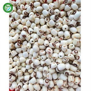 Semillas de loto blanco de alta calidad, producto de agricultura seca natural de Vietnam al mejor precio - Product Image 1