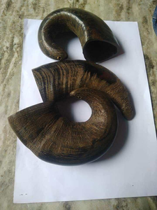 Friandises pour chiens en corne de buffle, meilleur que les cornes de cerf, corne de buffle, petite taille, meilleure qualité pour friandises pour chiens, provenance d'Inde - Product Image 3