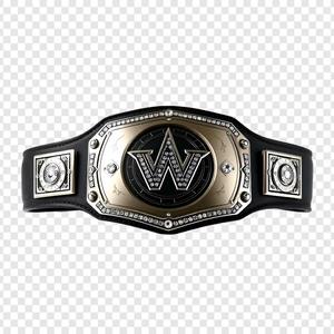 Cinturón de Campeonato de Boxeo y Lucha Libre Personalizado, Cinturón de la Mejor Calidad, Superventas, Logotipo Personalizado, Cinturón de Campeón - Product Image 5