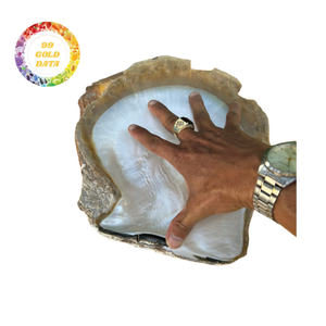 Assiette en nacre 12 cm, assiette en coquillage pour la vaisselle de restaurant, plat en coquille blanche pure pour la présentation de bijoux fins - Product Image 1