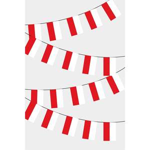 Guirlande de drapeaux rectangulaires de Pologne pour décorations de fête - Product Image 1