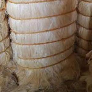Haute qualité 100% fibre de sisal naturel UG SSUG produits industriels bruts de haute qualité-corde de sisal en tissu de sisal plus pour la production - Product Image 4