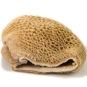 Meilleure vente de bœuf séché de qualité certifiée omasun/omasun traité/omasun salé - Product Image 6