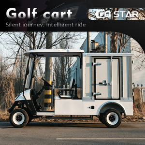 Voiture de golf électrique modifiée avec une boîte de chargement pour transporter des marchandises, 2 places, utilitaire, nouvelle, 5 kW - Product Image 2