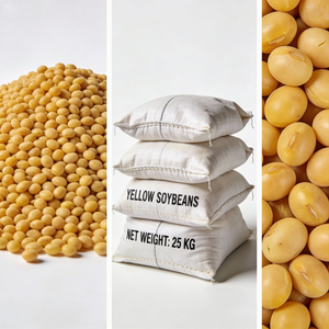 Soja Alemana Orgánica de Primera Calidad, 100% Sin OMG, Seca a Granel a Precio de Mayoreo, 25 KG/CTNS, 2 Años de Vida Útil, 50% de Proteína - Product Image 4