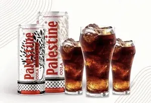 Refresco de fresa de Palestina, lata de 330ml, proveedor de bebidas gaseosas al por mayor - Product Image 5