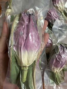 EXPORTATION Thé de Lotus Naturel: Sommeil Thérapeutique, Digestion Saine, Elixir de Beauté-BLEU LOTUS VIETNAM - Product Image 6