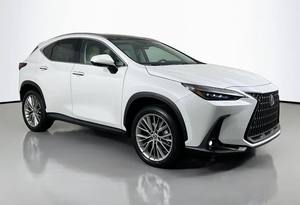 Lexus NX 350 Premium F-Sports AWD d'occasion 2025 - Product Image 2