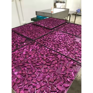 Tranches de fruits du dragon rouge séchées aux fruits du dragon blanc direct d'usine les plus vendues - Product Image 4