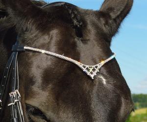 Accesorio de brida de caballo de diseño artístico elegante Producto único de banda de piedra para cejas - Product Image 5