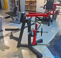 Machine de musculation pour les deltoides arrière, type suspension de plaques de poids, pour exercices de levée des haltères en position accroupie, vente en gros usine BN Chine