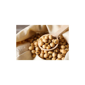 Soja Orgánica Premium Seca, 25 kg, Empacada a Granel desde Bélgica para Compradores Mayoristas - Product Image 1