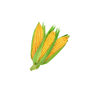 Commerce international en vrac de maïs jaune OGM pour les industries agricoles et alimentaires - Product Image 3