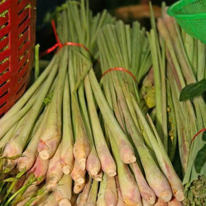 CITRONELLE CONGELÉE ENTIÈRE ET HACHÉE IQF PREMIUM QUALITÉ ORIGINE DU VIETNAM - Product Image 1