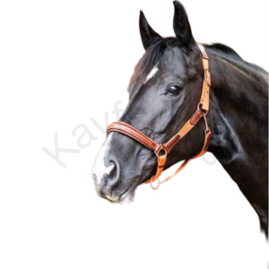 Licou anatomique rembourré en cuir et nylon avec ajustement réglable et raccords métalliques en or rose - Product Image 4