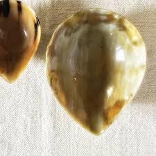 Bol en corne de buffle naturelle fait à la main pour servir des collations, des desserts et des fruits secs, toutes les tailles disponibles pour le service et la décoration - Product Image 5