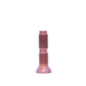 Pièce de rechange de moteur de haute qualité Pièces de fixation de haute précision Vis RS-12344158 MWM - Product Image 1