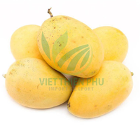 Premium biologische natuurlijke zoete verse mango AA-kwaliteit beste kwaliteit en prijs uit Vietnam