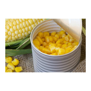 Maíz blanco y maíz amarillo en venta - Product Image 1