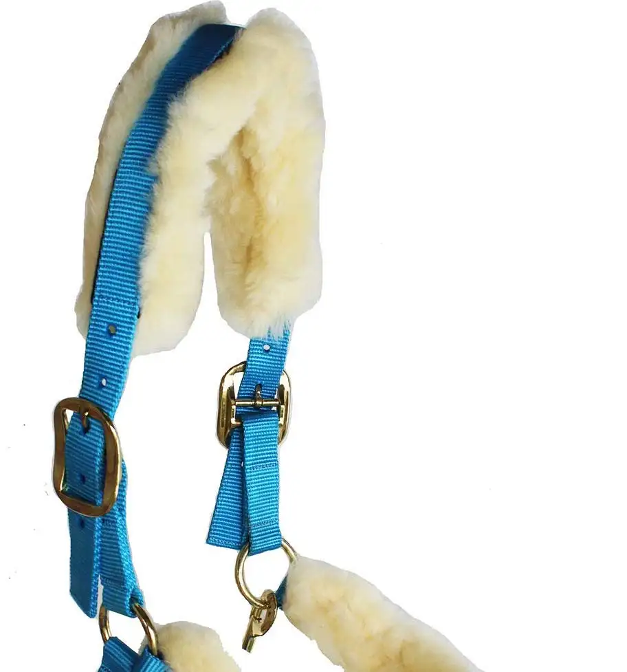 Top Quality Horse Driving Harness Set with Soft Padded Nylon Horse Racing Halter with teal colour orignal sheepskin