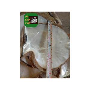 Plat de service traditionnel de luxe en gros Conception unique d'artisanat de nacre du Vietnam Technique polie - Product Image 5