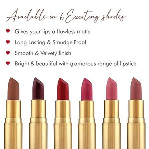 ลิปสติกเนื้อแท็บซิลค์ทัชแมทท์ติดทนนานกันน้ำทาลิปผิวเรียบลิปเครื่องสำอางติดฉลากตามต้องการ - Product Image 3