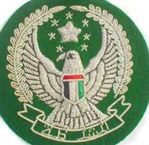 Blazer brodé à la main OEM fabriqué sur mesure au Pakistan 100% badges en fil métallique Offre Spéciale la mode de style vintage des Émirats arabes unis - Product Image 3