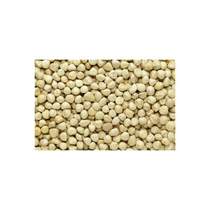 Noyaux de moringa propres disponibles pour la vente en gros aux fabricants de produits alimentaires et de bien-être - Product Image 4