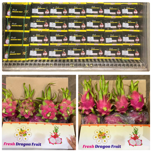 Premium verse Vietnamese drakenvrucht - wit-rood vlees 100% puur zoete smaak Kim Minh International natuurlijke houdbaarheid export