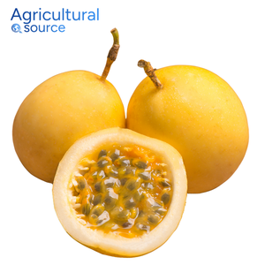 Fruta de la Pasión premium: mejora la digestión rica en nutrientes, perfecta para tazones de batidos y dietas limpias, de Vietnam Farm - Product Image 2