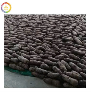 Igname violette vietnamienne congelée utilisant la technologie IQF moderne maintenant offerte dans le monde entier pour les restaurants, les centres de villégiature et les distributeurs d'épicerie - Product Image 4