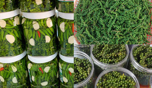 Pimienta Verde Fresca de Vietnam en Rama Directamente de los Agricultores Apta para Mercados de Exportación - Product Image 6