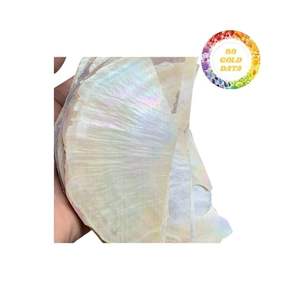 Coquillages en nacre blanche naturelle provenant du Vietnam Idéal pour les boutons d'incrustation de meubles et la production artisanale de bijoux - Product Image 2