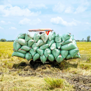 Tracteur chenillé HOGICO 80VN/Turbo, moteur diesel 80 CV, efficace en termes de coûts, équipements agricoles, haute productivité, best-seller - Product Image 1