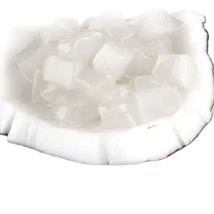 Hot Selling Delicious Coconut Jelly Nata De Coco for Topping Drinks from Vietnam Tracy