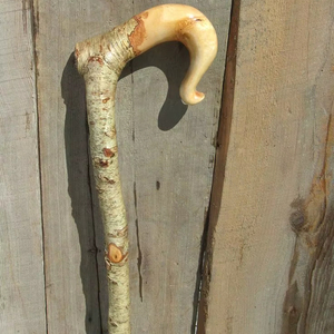 PARTICULARLY Price Adjustable Wooden Cane with Multiple Knots Strong Wooden <b>Walking</b> <b>Stick</b> for Elders by Standard Internation - Product Image 1