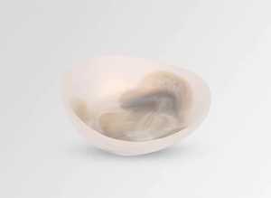 Tazón grande de resina para escarabajo, tazón tallado de cerámica, juego de cuencos desechables ecológicos para servir, regalo de negocios de estilo americano para el hogar - Product Image 3