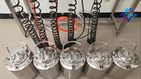 Machine à pulvériser au chrome hydro portable de 10 L, équipement de pulvérisation au chrome, revêtement métallique