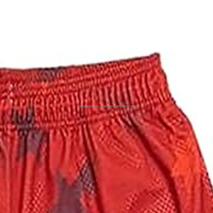 Shorts pour hommes Streetwear personnalisés, effet délavé vintage, du fabricant, téléchargés par Dress Sports, Service OEM, Conception ODM, Dernière conception - Product Image 2